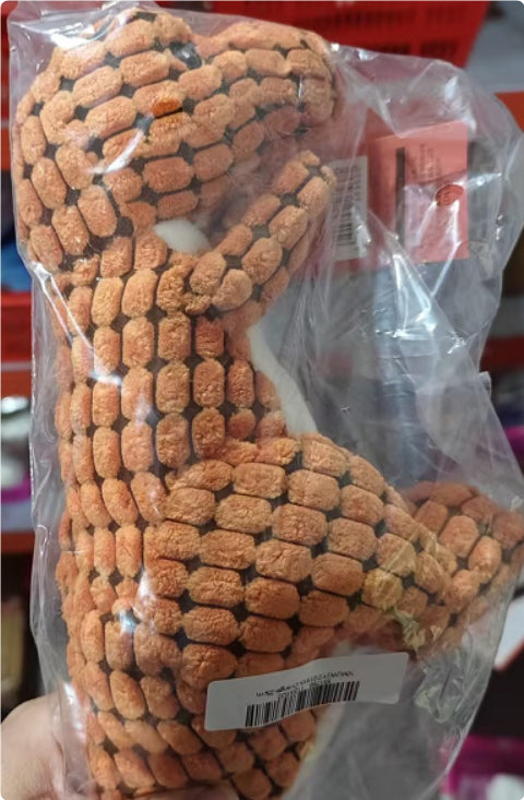 Plush Dinosaur toy for dogs