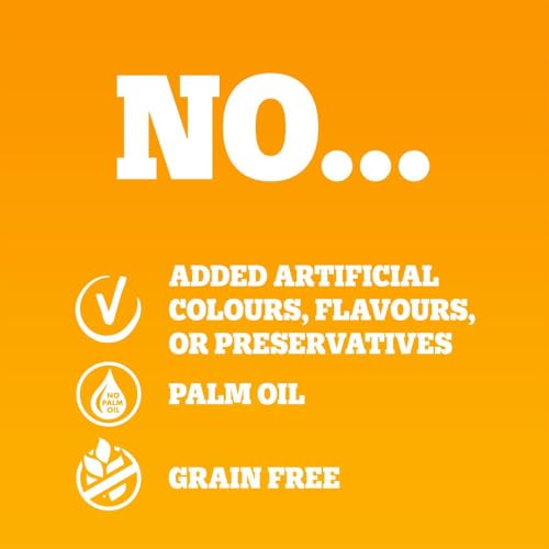 Pedigree Adult Dog Wet Food Pouch Mixed Selection in Gravy, 40x100g