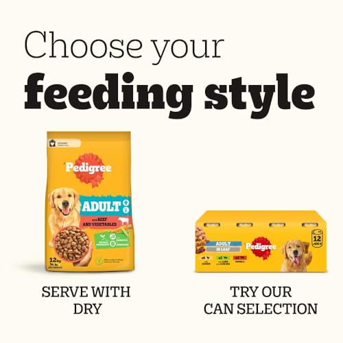 Pedigree Adult Dog Wet Food Pouch Mixed Selection in Gravy, 40x100g