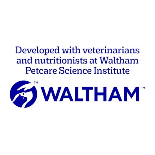 Pedigree Adult Dog Wet Food Pouch Mixed Selection in Gravy, 40x100g