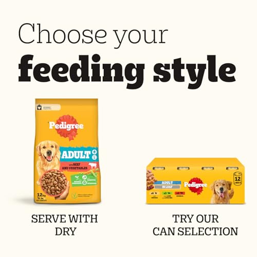 Pedigree Adult Dog Wet Food Pouch Mixed Selection in Gravy, 40x100g