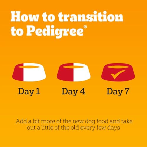Pedigree Adult Dog Wet Food Pouch Mixed Selection in Gravy, 40x100g