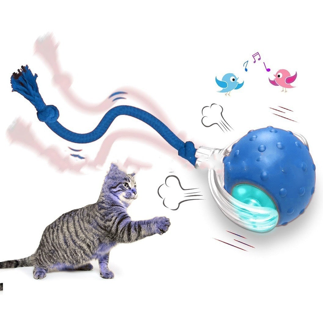 WhirlPurr™ Interactive Cat Rolling Ball