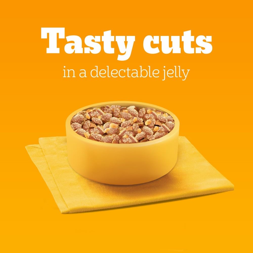 Pedigree Adult Dog Wet Food Pouch Mixed Selection in Gravy, 40x100g