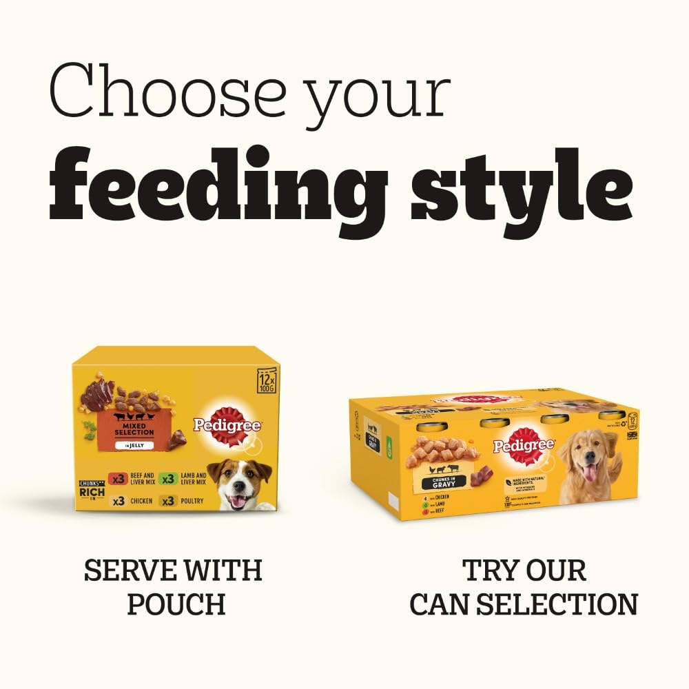 Pedigree Adult Dog Wet Food Pouch Mixed Selection in Gravy, 40x100g