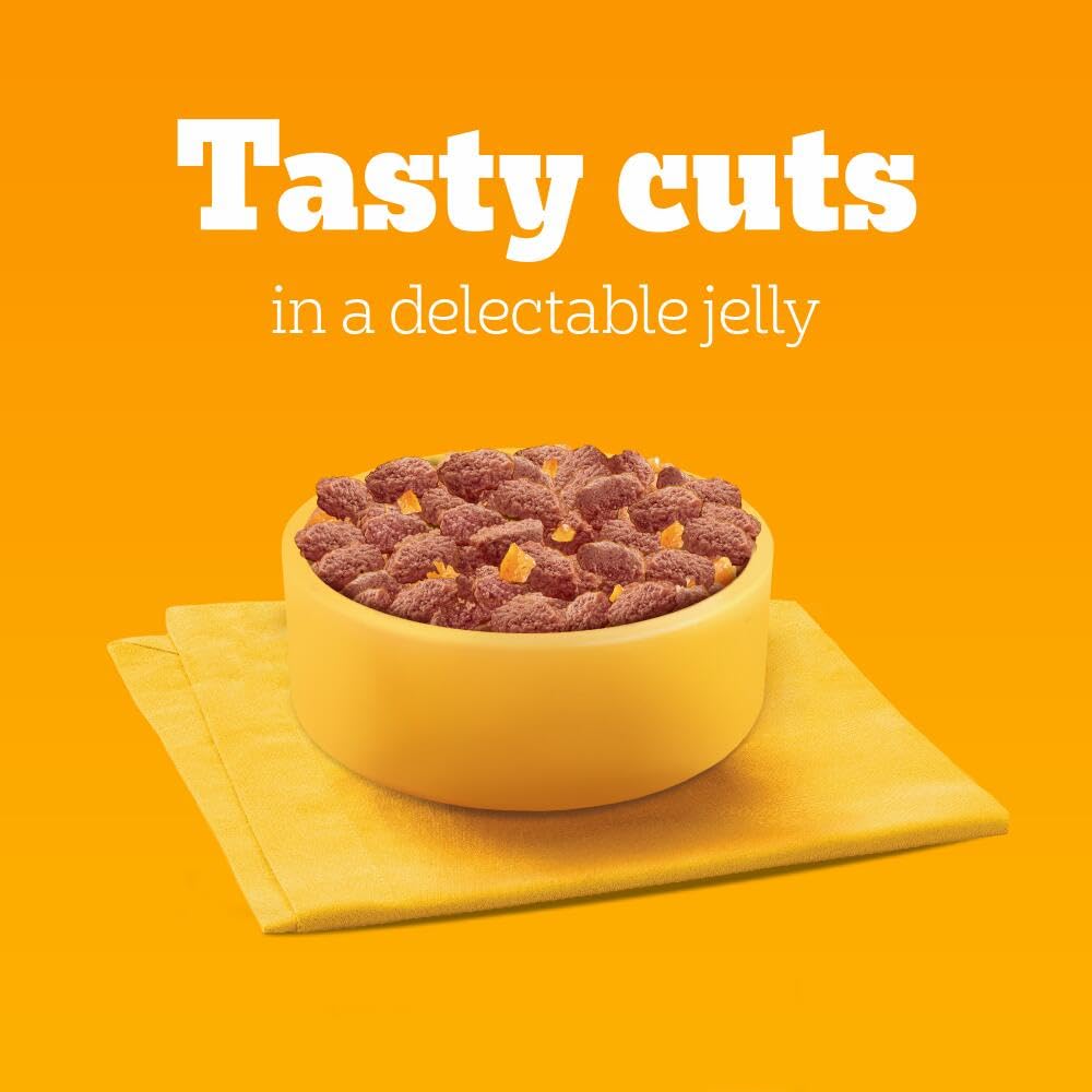 Pedigree Adult Dog Wet Food Pouch Mixed Selection in Gravy, 40x100g