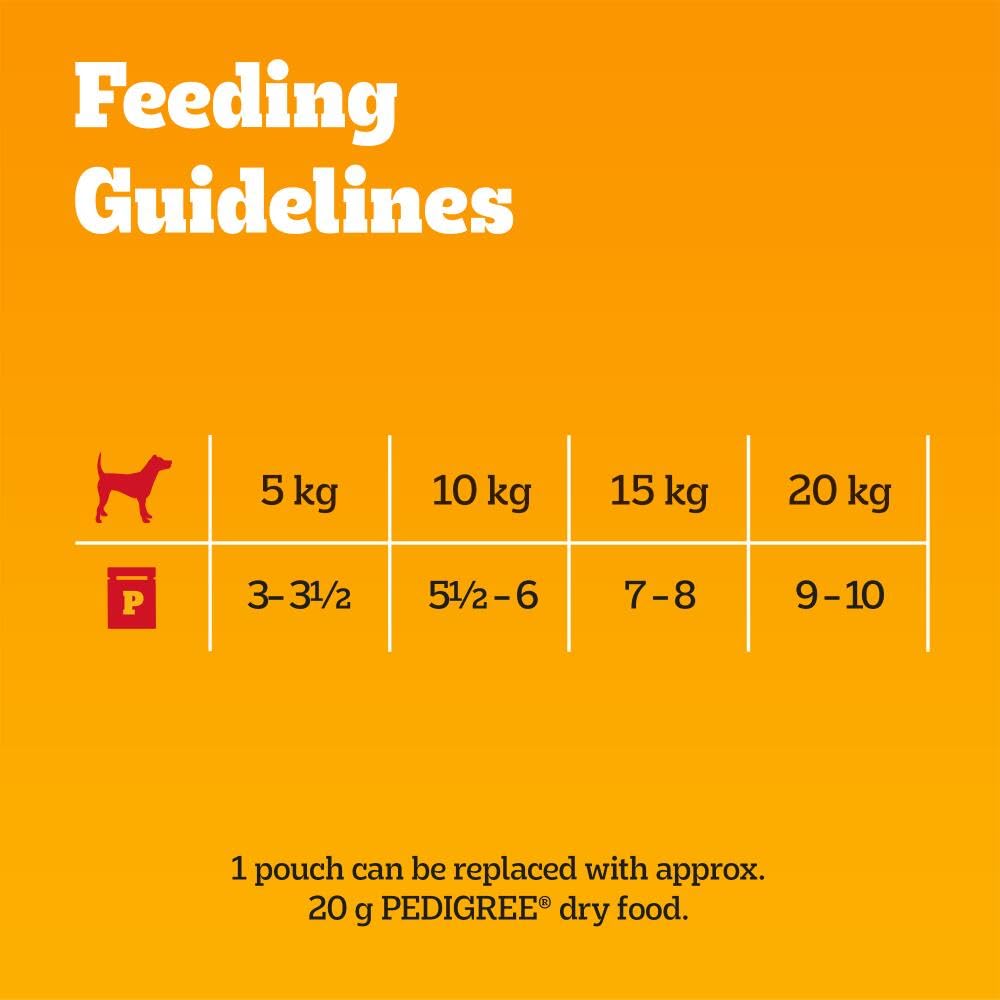 Pedigree Adult Dog Wet Food Pouch Mixed Selection in Gravy, 40x100g