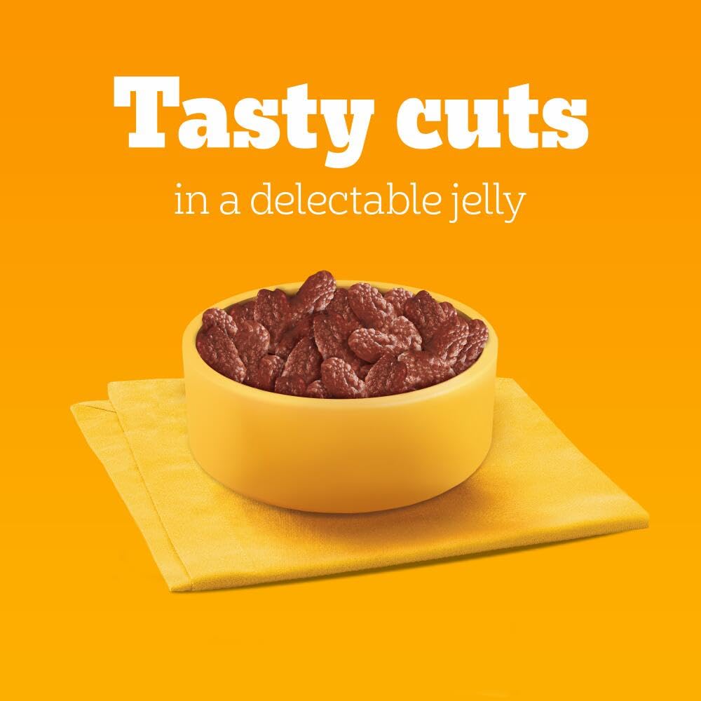 Pedigree Adult Dog Wet Food Pouch Mixed Selection in Gravy, 40x100g