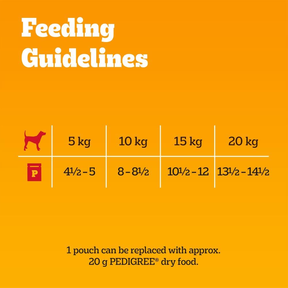 Pedigree Adult Dog Wet Food Pouch Mixed Selection in Gravy, 40x100g