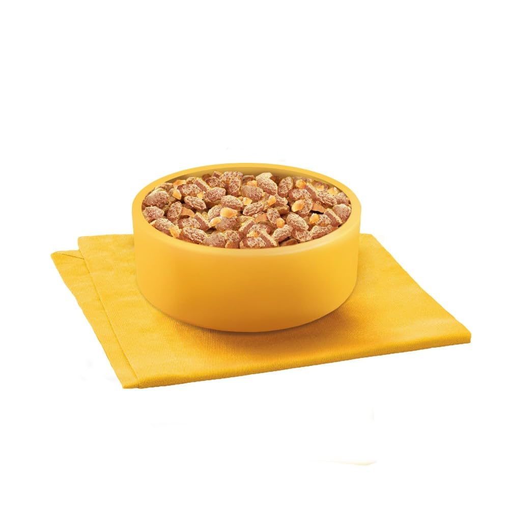 Pedigree Adult Dog Wet Food Pouch Mixed Selection in Gravy, 40x100g