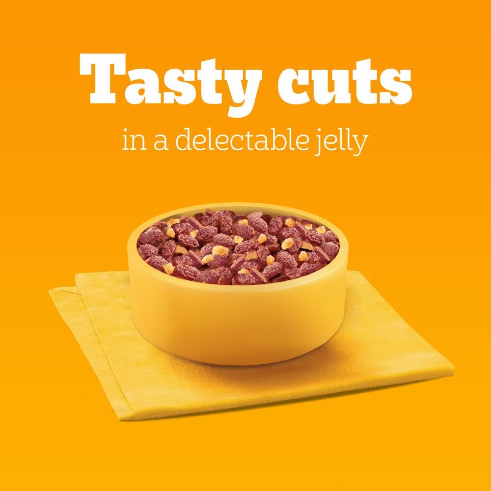 Pedigree Adult Dog Wet Food Pouch Mixed Selection in Gravy, 40x100g