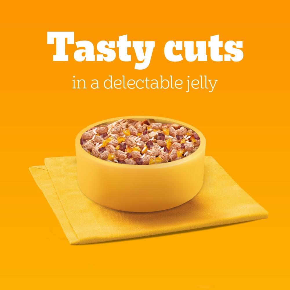 Pedigree Adult Dog Wet Food Pouch Mixed Selection in Gravy, 40x100g