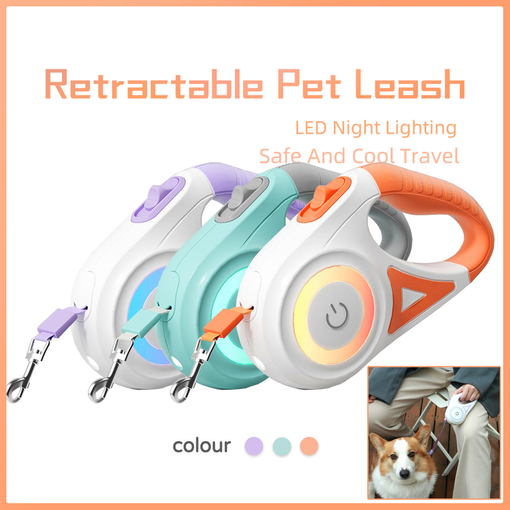 Leash Retractable Leash and collar set