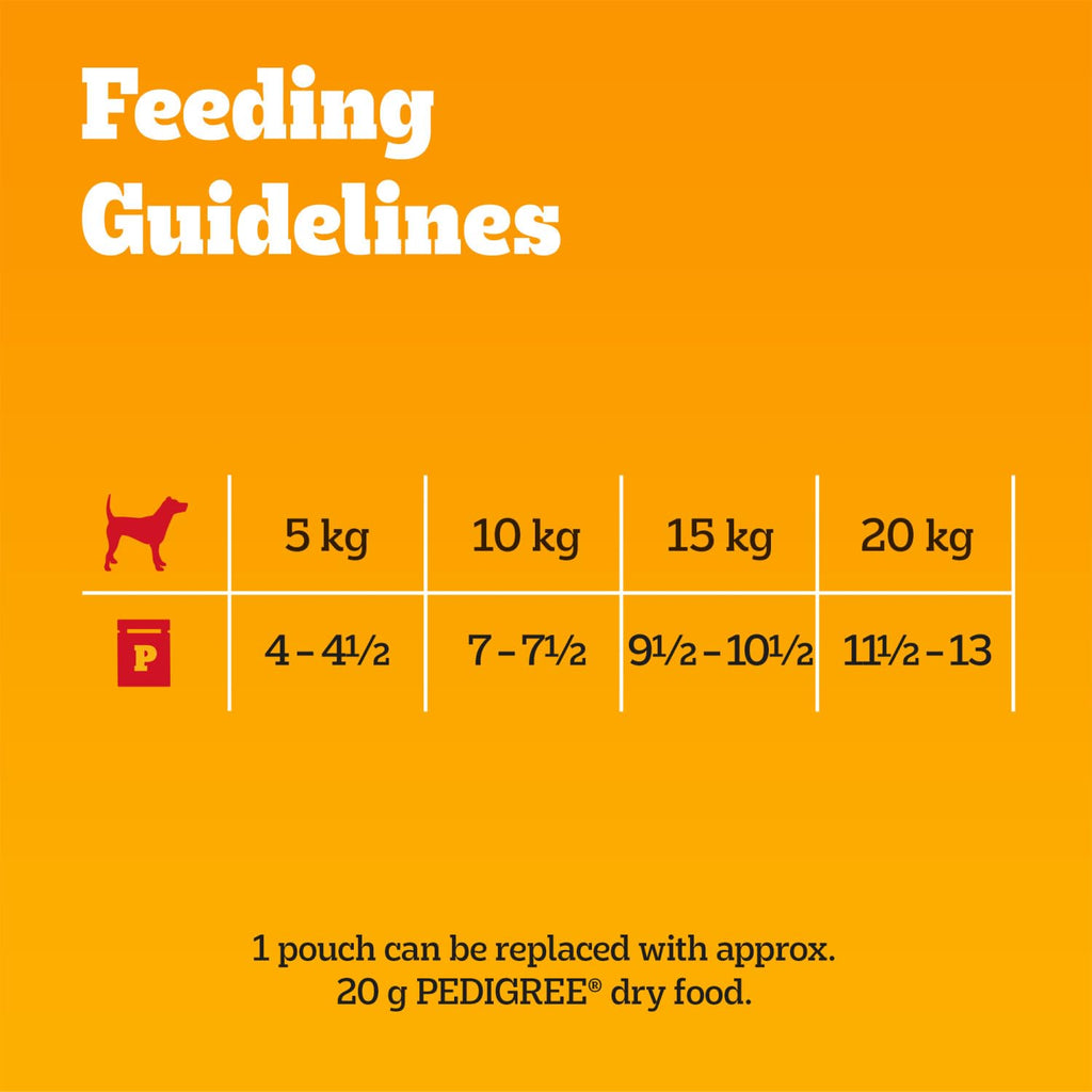 Pedigree Adult Dog Wet Food Pouch Mixed Selection in Gravy, 40x100g