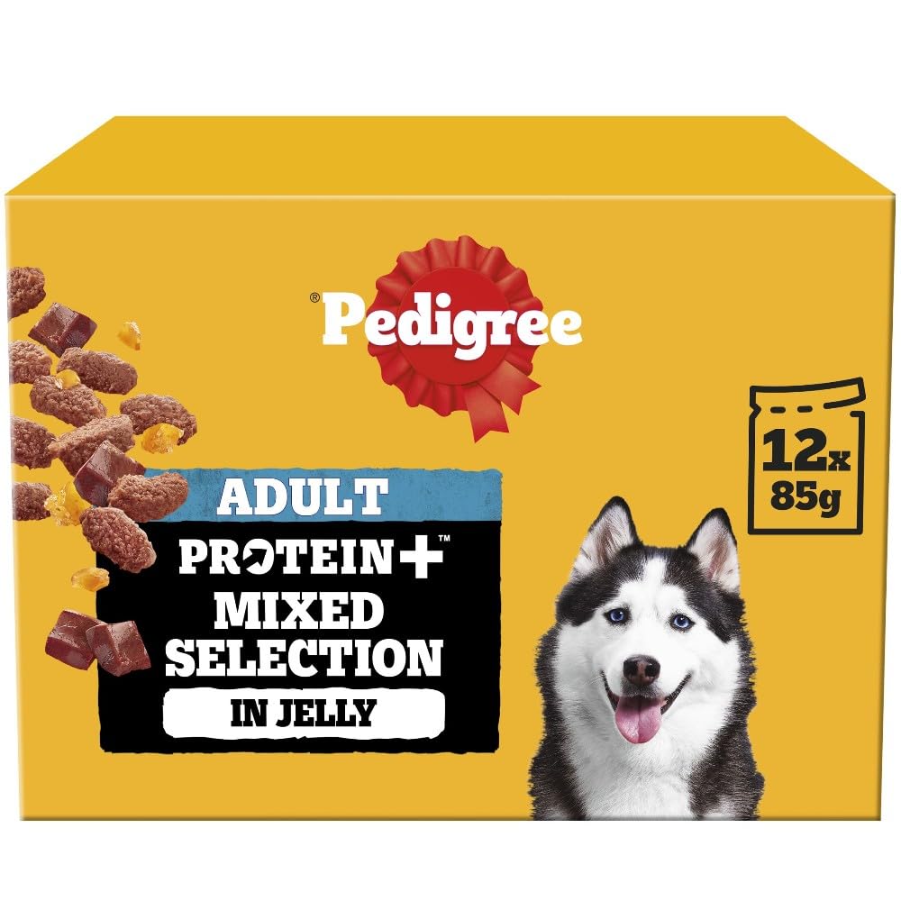 Pedigree Adult Dog Wet Food Pouch Mixed Selection in Gravy, 40x100g