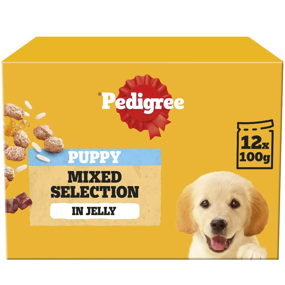Pedigree Adult Dog Wet Food Pouch Mixed Selection in Gravy, 40x100g