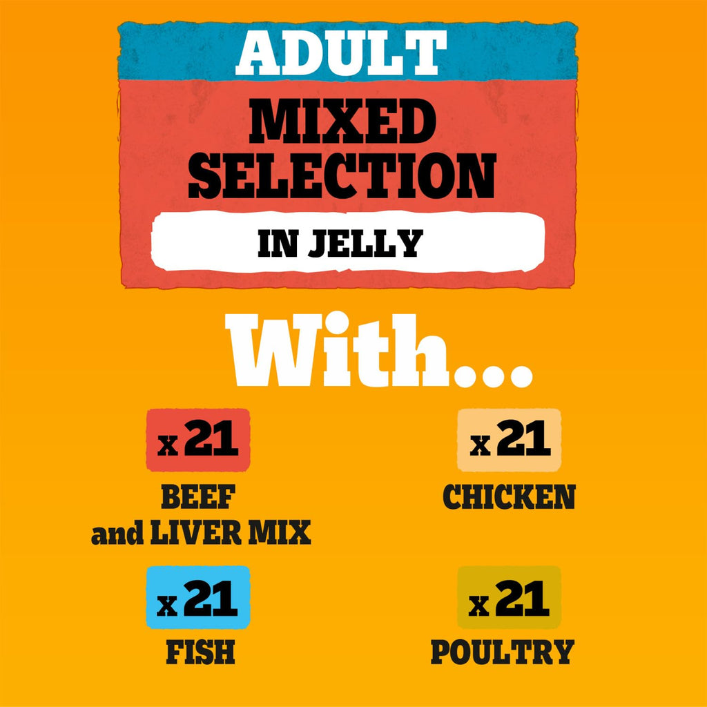 Pedigree Adult Dog Wet Food Pouch Mixed Selection in Gravy, 40x100g