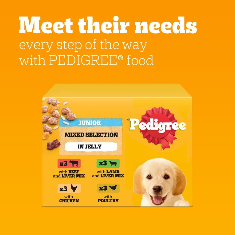 Pedigree Adult Dog Wet Food Pouch Mixed Selection in Gravy, 40x100g