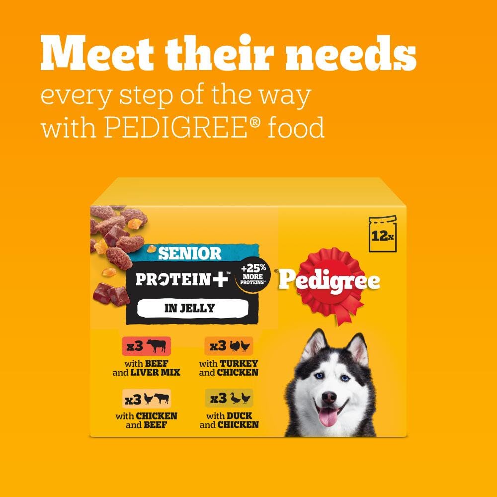 Pedigree Adult Dog Wet Food Pouch Mixed Selection in Gravy, 40x100g