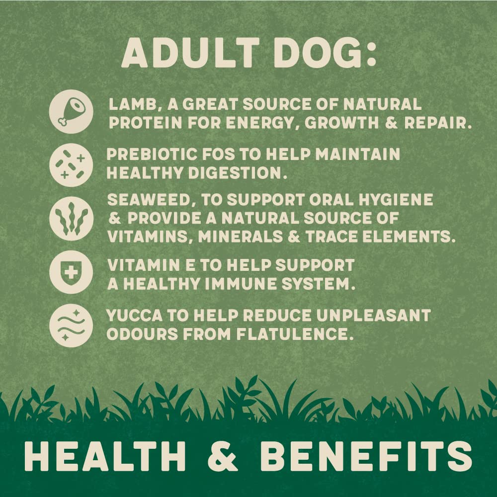 Harringtons Complete Dry Adult Dog Food Lamb & Rice 15kg - Made with All Natural Ingredients