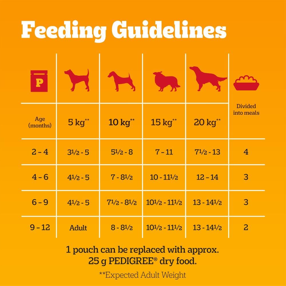 Pedigree Adult Dog Wet Food Pouch Mixed Selection in Gravy, 40x100g