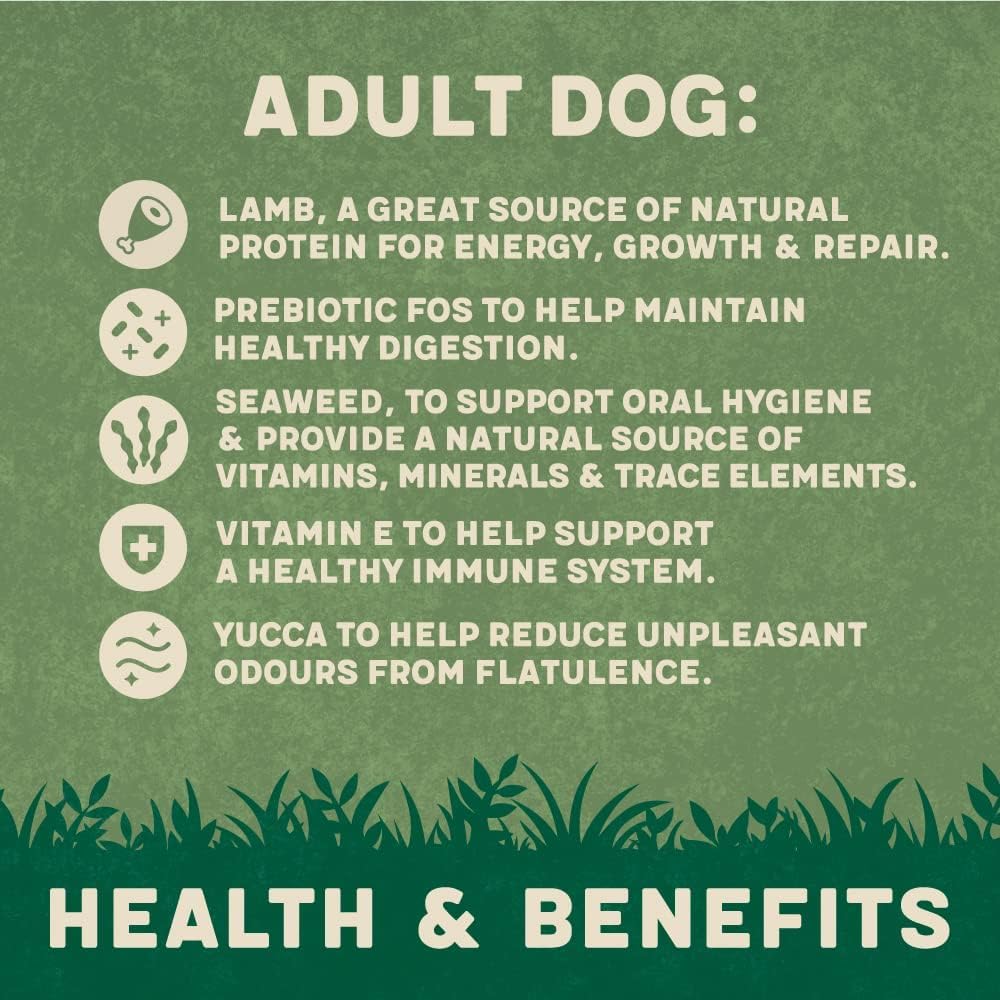 Harringtons Complete Dry Adult Dog Food Lamb & Rice 15kg - Made with All Natural Ingredients