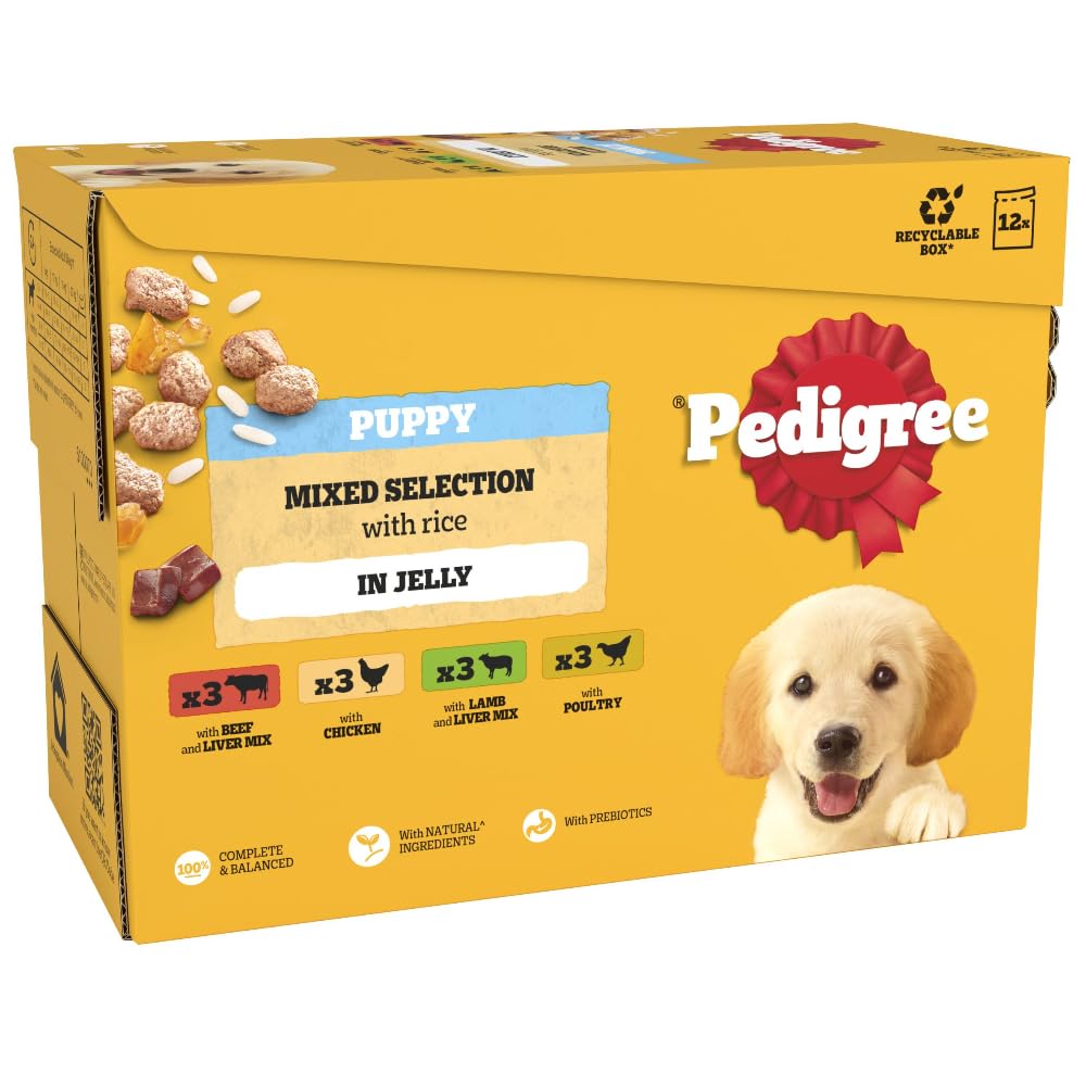 Pedigree Adult Dog Wet Food Pouch Mixed Selection in Gravy, 40x100g