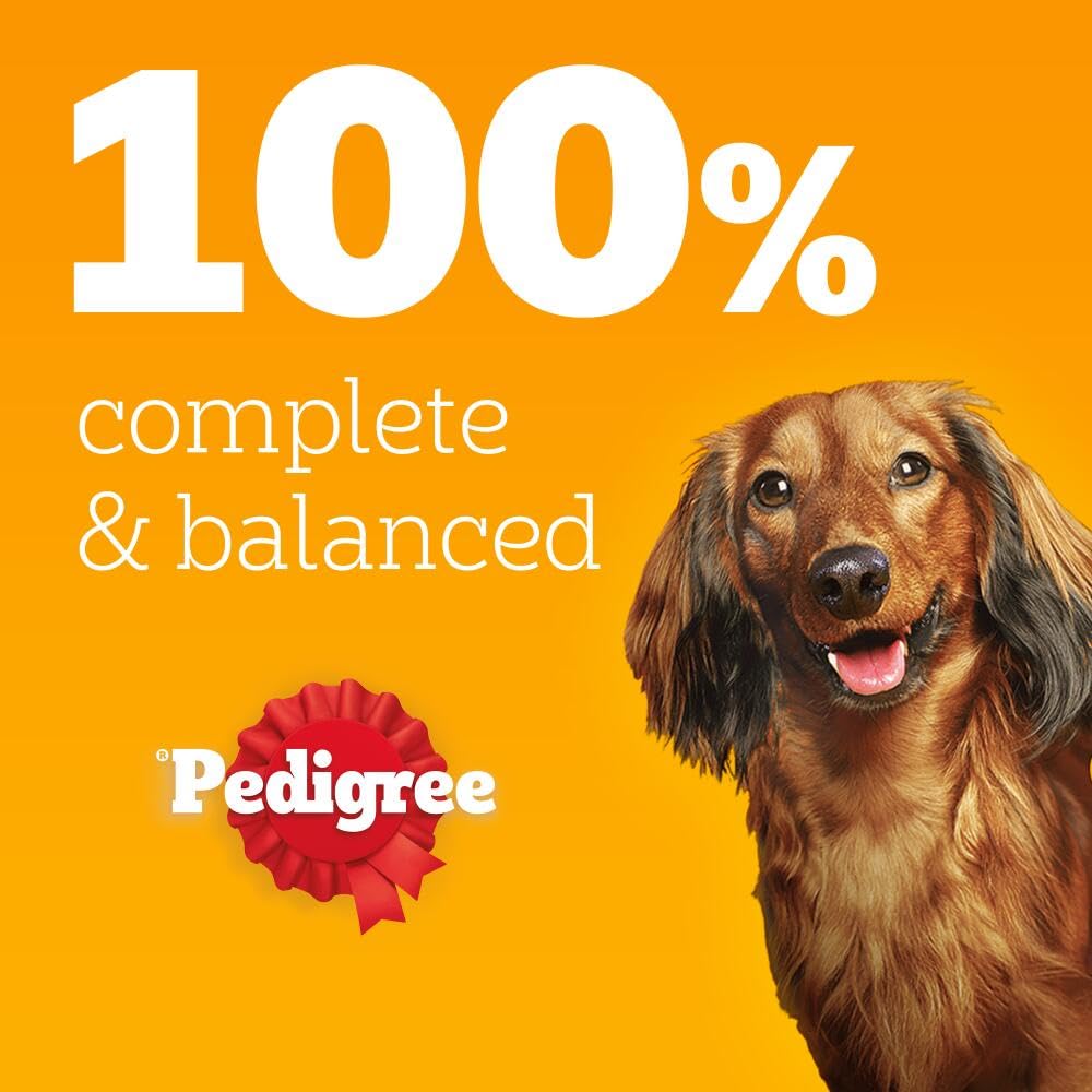 Pedigree Adult Dog Wet Food Pouch Mixed Selection in Gravy, 40x100g