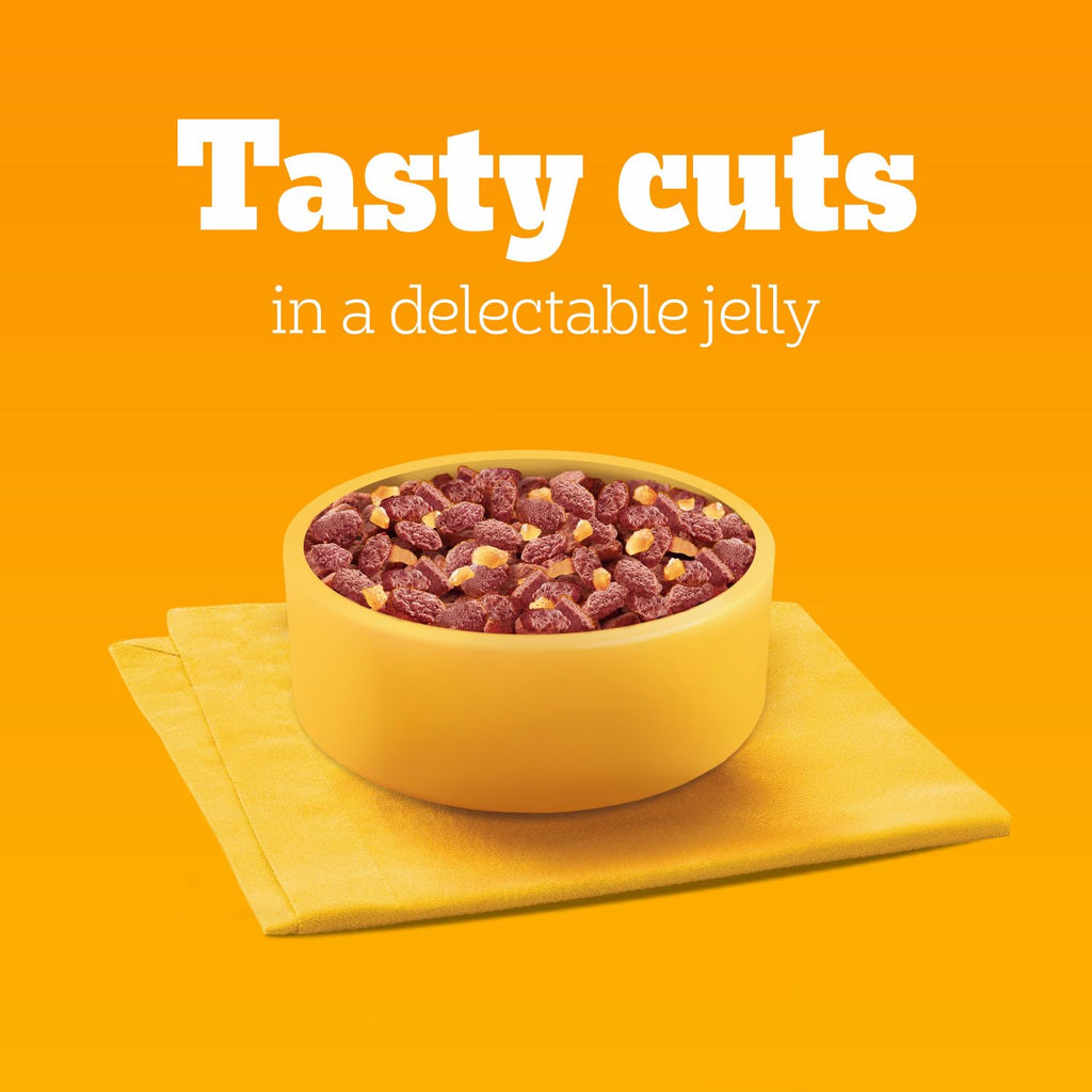 Pedigree Adult Dog Wet Food Pouch Mixed Selection in Gravy, 40x100g