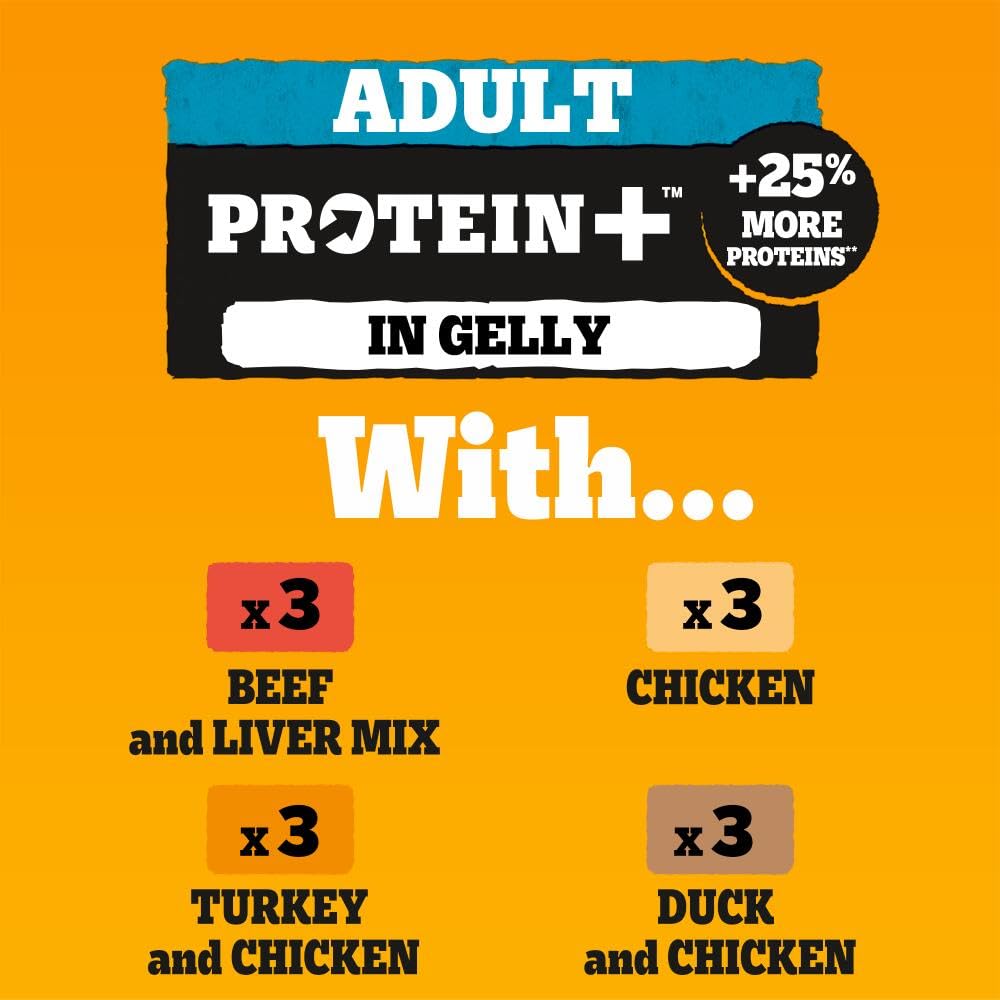 Pedigree Adult Dog Wet Food Pouch Mixed Selection in Gravy, 40x100g