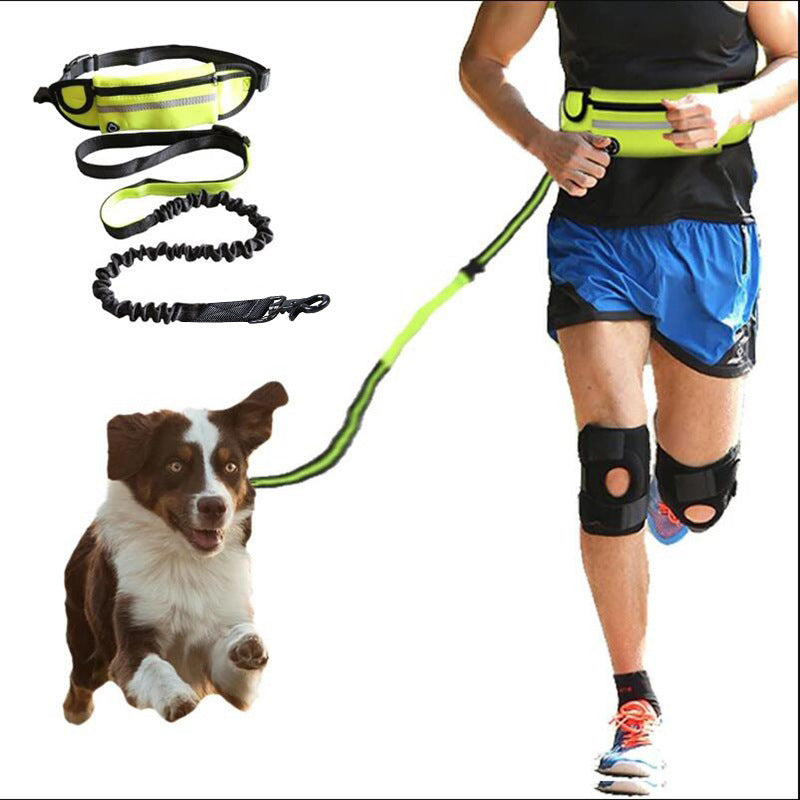 GoPaws™ Hands‑Free Adventure Leash