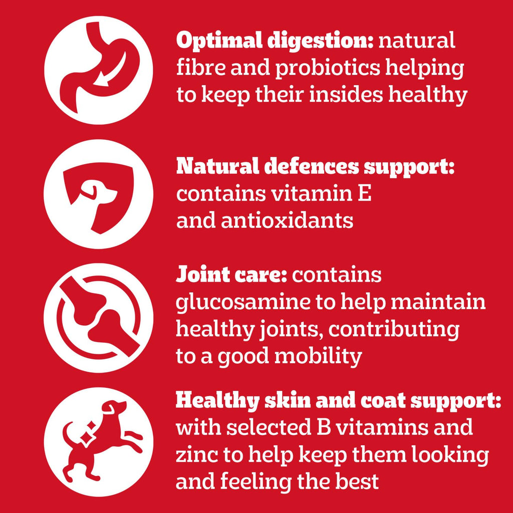 Pedigree Adult Dog Wet Food Pouch Mixed Selection in Gravy, 40x100g