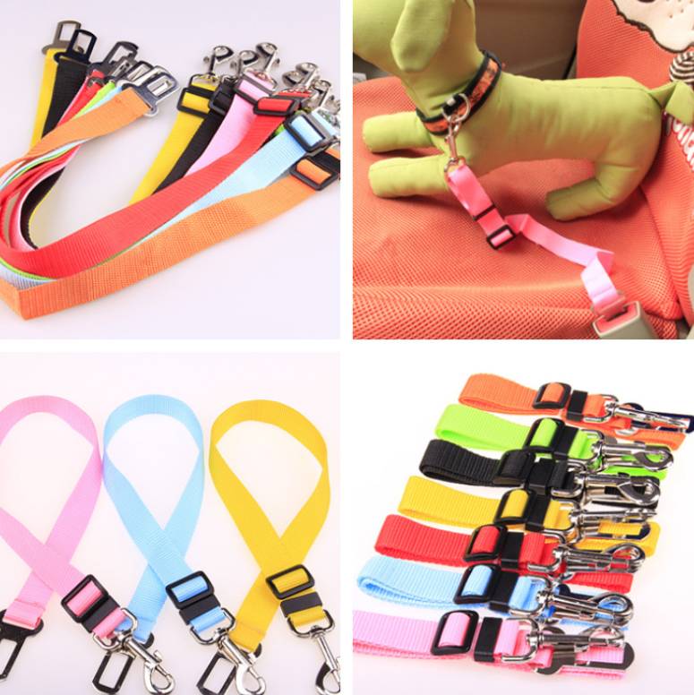 Fixed Strap Polyester Dog Strap Dog Leash