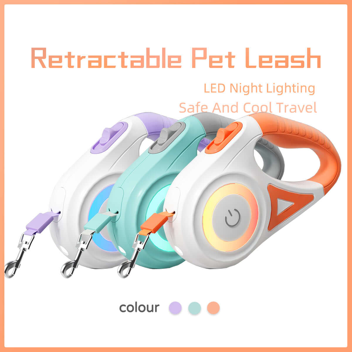Leash Retractable Leash and collar set