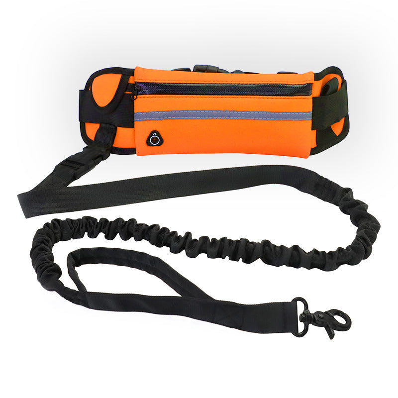 GoPaws™ Hands‑Free Adventure Leash