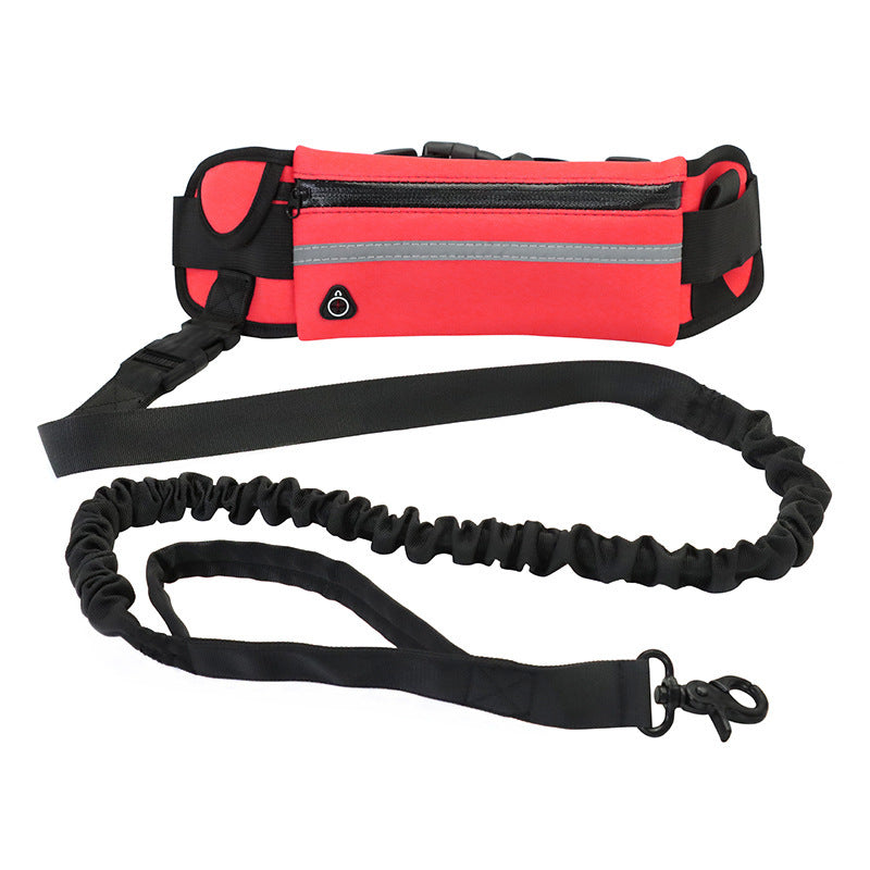 GoPaws™ Hands‑Free Adventure Leash